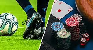 Discover the Exciting World of Betwinner