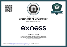 Understanding Exness Account Currency for Better Trading Decisions Understanding Exness Account Currency for Better Trading Decisions