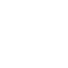 Psyche Visions Branding White
